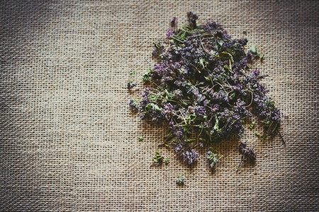 broken dry purples lie in sackcloth, filterの写真素材