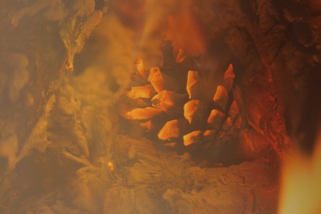 red-hot lump of pine in the fire close-upの写真素材
