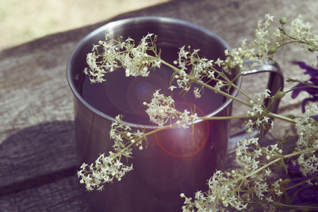 Mug for a hike with tea and sprigs of white flowers, filterの写真素材