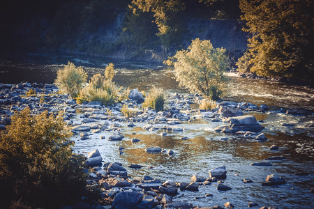 River with rocks and trees, view from above,の写真素材