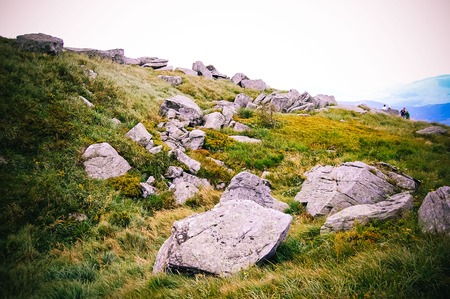 large stones lie on a green gladeの写真素材