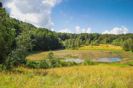 landscape Lake of the Woods on a sunny day