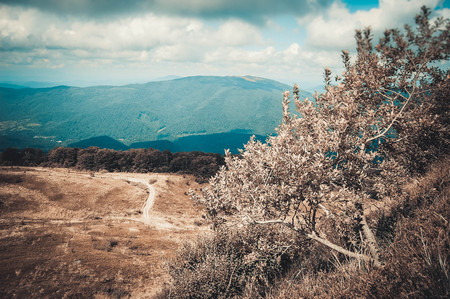 Mountain View Carpathians in the summer on a sunny dayの写真素材