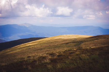 Alpine pasture on a cloudy day filterの写真素材