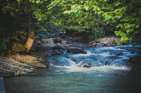 river with rocky shores and tree on shoreの写真素材