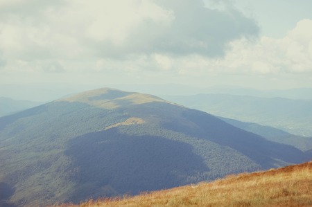 meadow on the top of the mountain, filterの写真素材