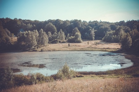 lake, pond in the woods in the evening, the filterの写真素材