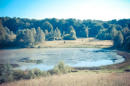lake, pond in the woods in the evening, the filterの写真素材