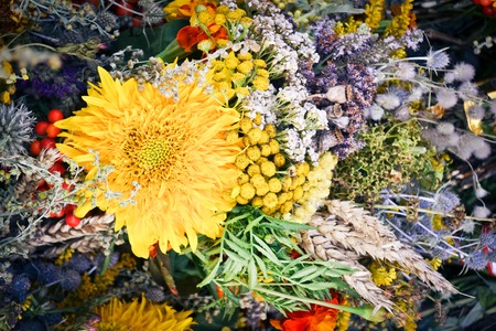 background of big yellow flowers and small flowers, filter,の写真素材