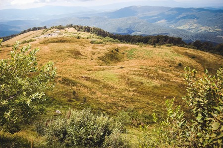 open field in the mountains Carpathians summer dayの写真素材