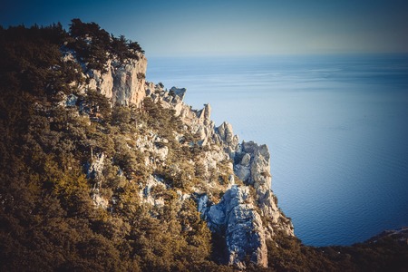 sharp tip of a cliff with trees and seaの写真素材