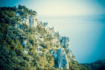 sharp tip of a cliff with trees and seaの写真素材