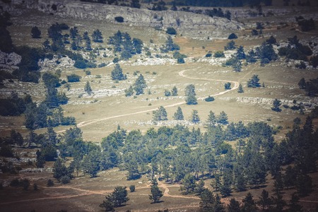 rocky field with trees on top of Mount Ai-Petri, Crimea, with filterの写真素材
