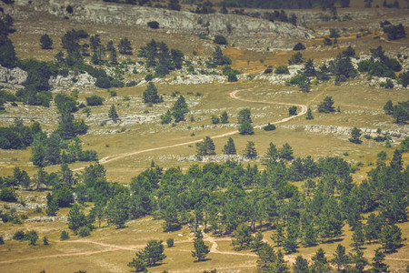 rocky field with trees  on top of Mount Ai-Petri, Crimea, with filterの写真素材