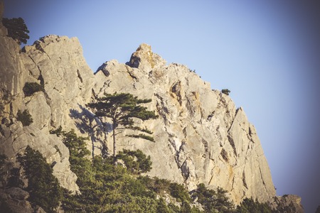 Mountain rocks and trees against the blue sky, filterの写真素材
