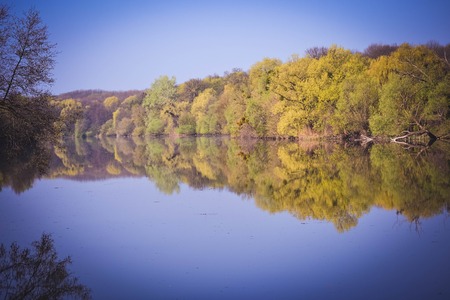 Spring forest on the bank of the river is reflected in the water, filterの写真素材