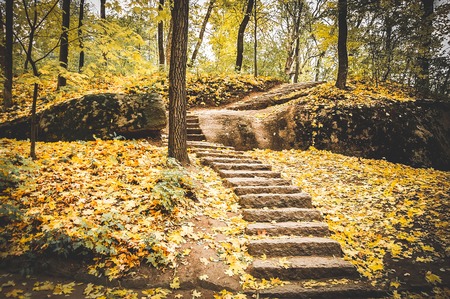 stone staircase strewn with fallen yellow leaves in autumn parkの写真素材