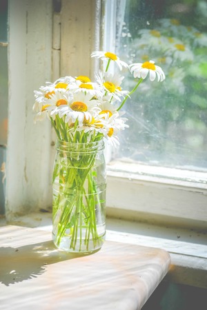 daisies in a glass jar vase on the table near the windowの写真素材