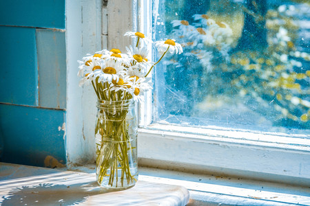 daisies in a glass jar near a window, filter or effectの写真素材