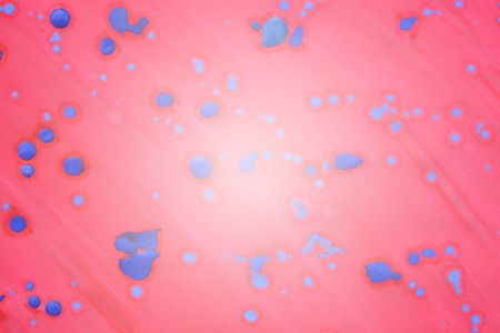 pink background with drops of blue close-upの写真素材