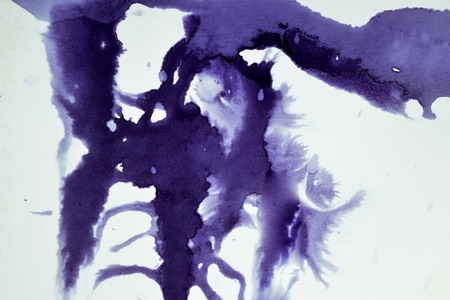 Dark spreads ink stains on a white background. Abstract backgroundの写真素材
