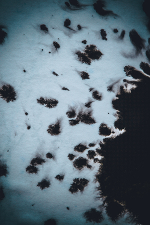 Black Ink Conveyed Over White Close-up Paper. Abstract Background Dark Filter. Ink Stains Spread Out and Absorbed Into the Paper Macro.の写真素材