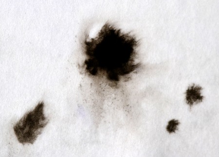Black Ink Spread and Absorbed Over White Close-up Paper. Abstract Background Dark Filter. Ink Stains Spread Out and Absorbed Into the Paper Macro.の写真素材