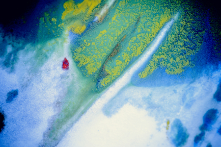 bursts of multicolored paints and mixed together white paper. Drawn splashes of paints of different colors on white surface. Blue, yellow, red, green color. Spreading spraying flow leak stream mixingの写真素材