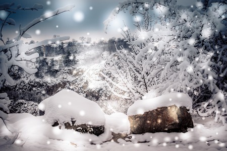 Snow-covered trees plants forest in winter filter, effect. Natural winter Christmas New Year background. Woodland snow under.の写真素材