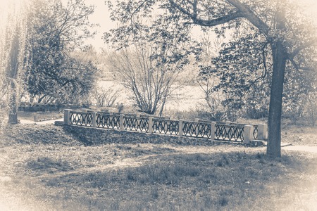 Vintage photo park with ancient ruins and a treeの写真素材