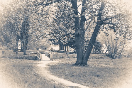 Vintage photo park with trees and pathsの写真素材