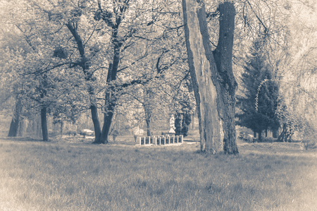 Vintage photo park with trees and pathsの写真素材