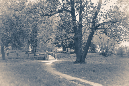 Vintage photo park with trees and pathsの写真素材