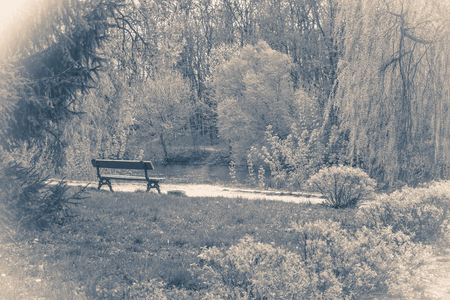 Vintage photo park with trees and pathsの写真素材