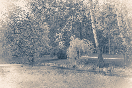 Vintage photo park with a lake or a pond and treesの写真素材