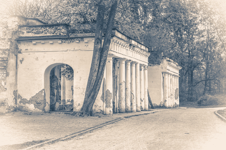Vintage photo park with ancient ruins and a tree and columnsの写真素材