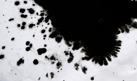 Black Ink Conveyed Over White Close-up Paper. Abstract Background isolated on white background. Ink Stains Spread Out and Absorbed Into the Paper Macro.の写真素材