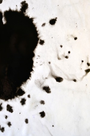 Black Ink Conveyed Over White Close-up Paper. Abstract Background isolated on white background. Ink Stains Spread Out and Absorbed Into the Paper Macro.の写真素材