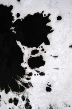 Black Ink Conveyed Over White Close-up Paper. Abstract Background isolated on white background. Ink Stains Spread Out and Absorbed Into the Paper Macro.の写真素材