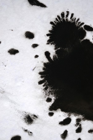 Black Ink Conveyed Over White Close-up Paper. Abstract Background isolated on white background. Ink Stains Spread Out and Absorbed Into the Paper Macro.の写真素材