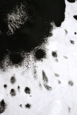 Black Ink Conveyed Over White Close-up Paper. Abstract Background isolated on white background. Ink Stains Spread Out and Absorbed Into the Paper Macro.の写真素材