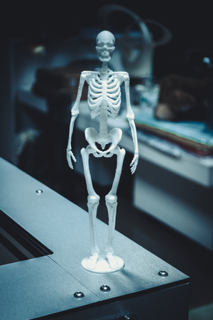 object human skeleton printed by 3d printer. Automatic three dimensional 3d printer performs plastic green colors modeling in laboratory. Modern 3D printing technology.の写真素材