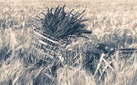 Old vintage photo. Bicycle with a bouquet of wildflowers in a basket in front of handlebar on a background of green grass in wheat fieldの写真素材