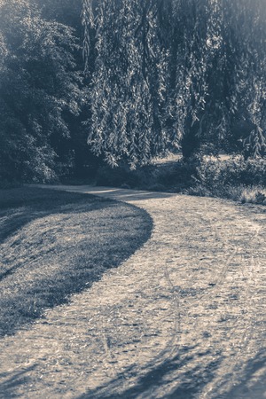 Old vintage photo. A Ground path in a deciduous forest park in summerの写真素材