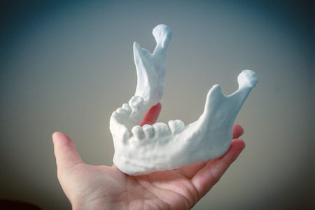 A girl holds a mandible printed on a 3d printer on her palm close-up. Automatic three dimensional performs plastic modeling. Progressive modern additive technologyの写真素材