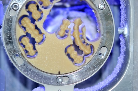 Dental milling machine carving out shape of human teeth close-up. Modern medical technologies. Concept of 4.0 industrial revolutionの写真素材