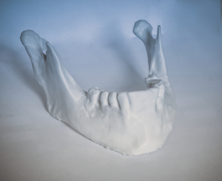 Objects printed by 3d printer Isolated on white background. The figure numeral is Lower jaw. Progressive modern additive technology. Concept of 4.0 industrial revolutionの写真素材