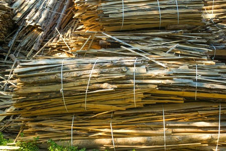 huge pile of large sawn logs bars from the forest. Harvesting firewood for the winterの写真素材