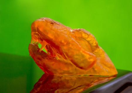 Objects photopolymer printed on a 3d printer. Stereolithography 3D printer, technology of liquid photopolymerization under UV light. Progressive modern additive technology 3D printing.の写真素材