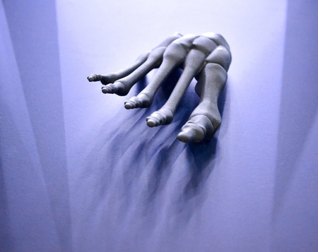 Gray prototype of the human foot skeleton printed on 3d printer on dark surface. Fused deposition modeling, FDM. Progressive modern additive technology. Concept of 4.0 industrial revolutionの写真素材